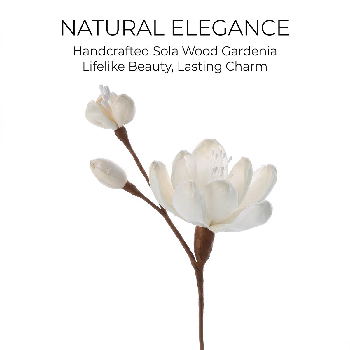 Gardenia-Scented-Sola-Flower-details-1